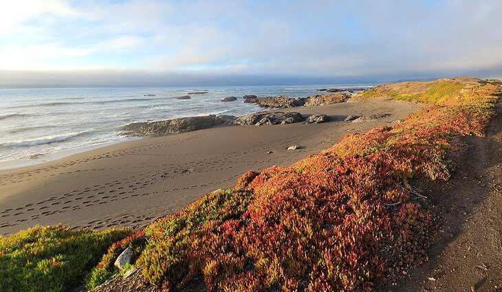 10 Best Beaches near Fort Bragg, CA