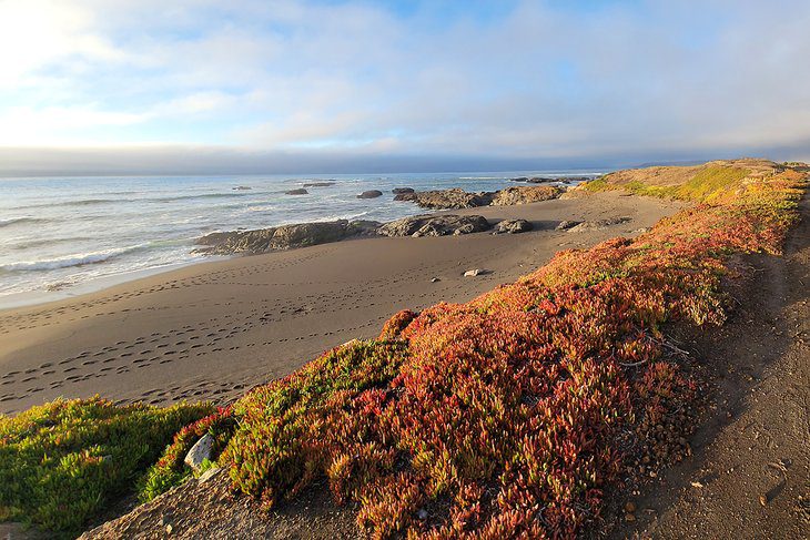 10 Best Beaches near Fort Bragg, CA