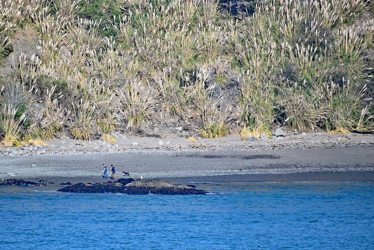 10 Best Beaches near Fort Bragg, CA