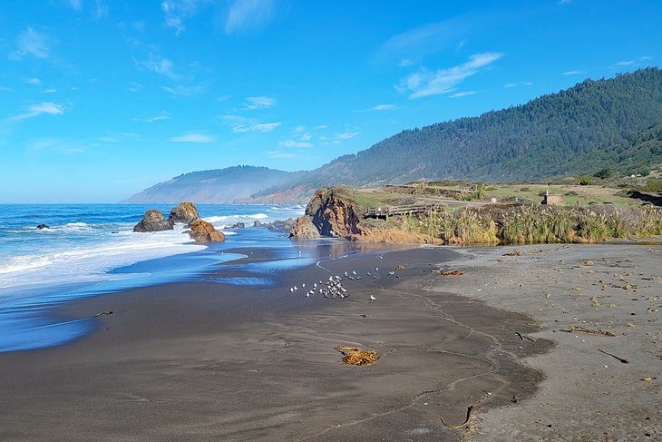 10 Best Beaches near Fort Bragg, CA