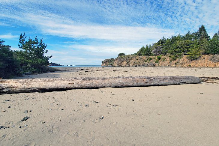 10 Best Beaches near Fort Bragg, CA