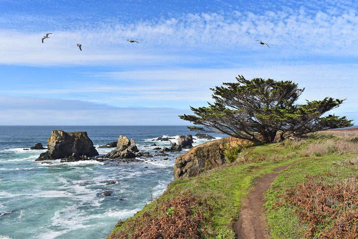 10 Best Beaches near Fort Bragg, CA