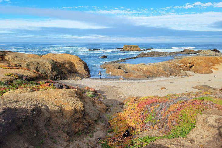 10 Best Beaches near Fort Bragg, CA