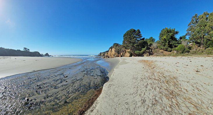 10 Best Beaches near Fort Bragg, CA