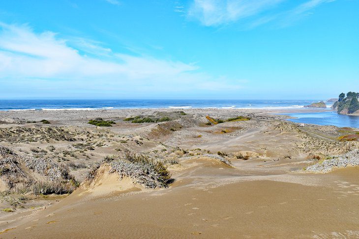 10 Best Beaches near Fort Bragg, CA