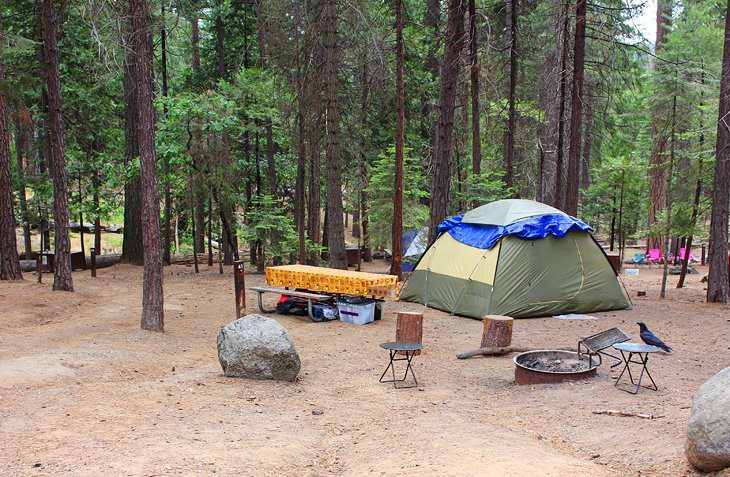 10 Best Campgrounds at Yosemite National Park