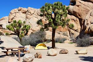 10 Best Campgrounds & RV Resorts near Las Vegas