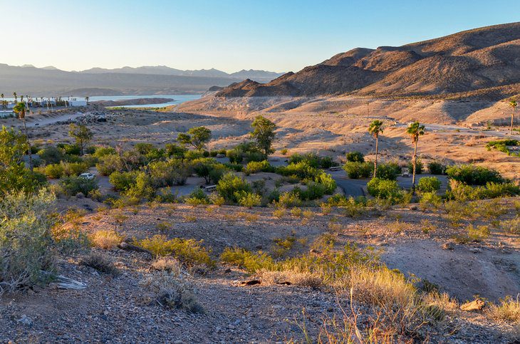 10 Best Campgrounds & RV Resorts near Las Vegas