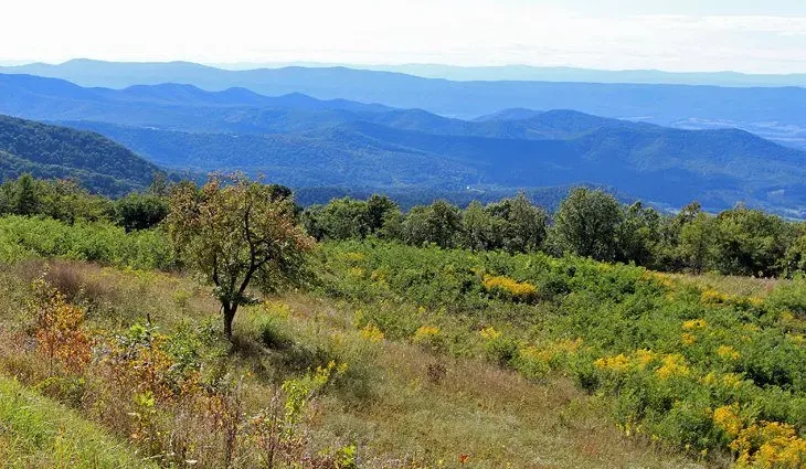 10 Best Hiking Trails in Shenandoah National Park