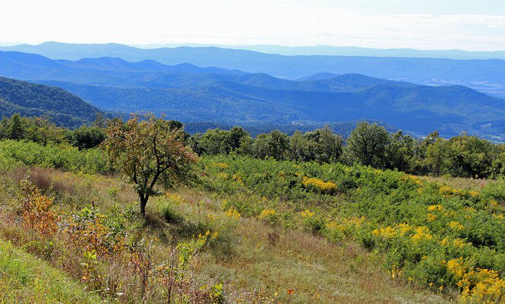 10 Best Hiking Trails in Shenandoah National Park