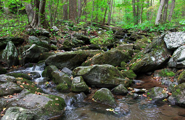 10 Best Hiking Trails in Shenandoah National Park