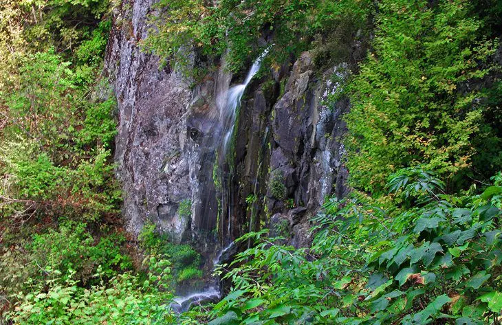 10 Best Hiking Trails in Shenandoah National Park