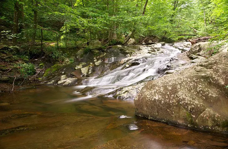 10 Best Hiking Trails in Shenandoah National Park