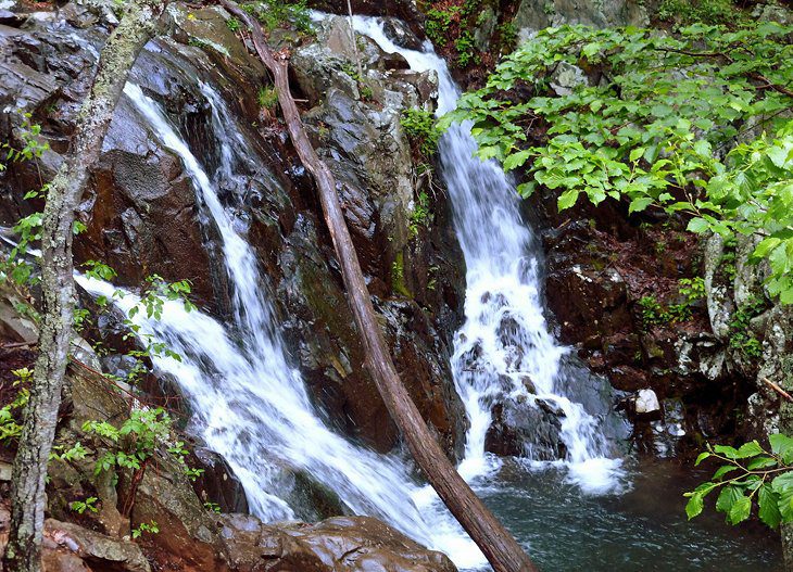 10 Best Hiking Trails in Shenandoah National Park