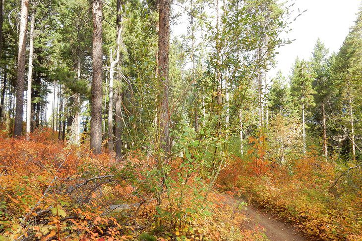 10 Best Hiking Trails near Bozeman, MT