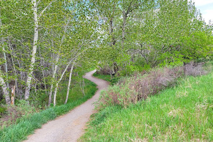 10 Best Hiking Trails near Bozeman, MT