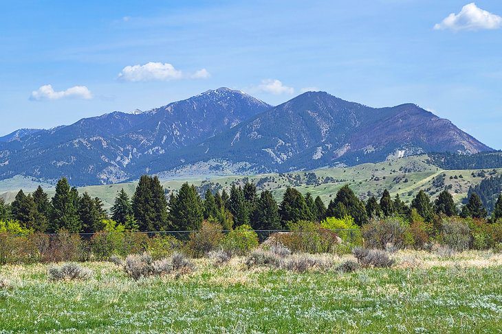 10 Best Hiking Trails near Bozeman, MT