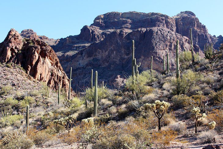 10 Best National Parks and Monuments in Arizona