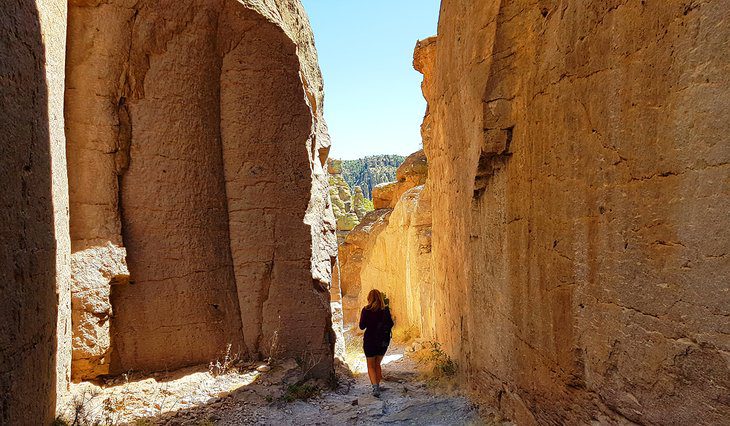 10 Best National Parks and Monuments in Arizona