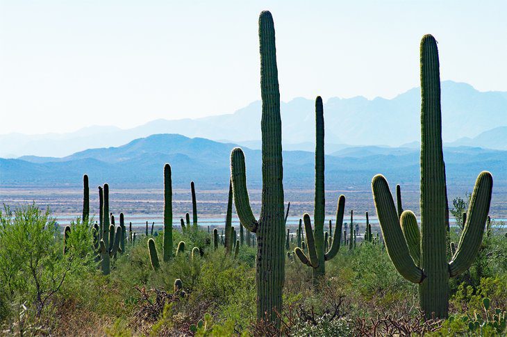 10 Best National Parks and Monuments in Arizona