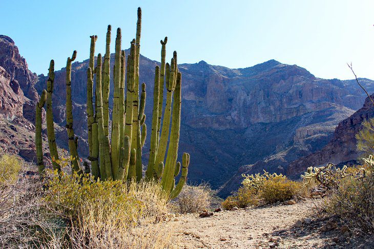 10 Best National Parks and Monuments in Arizona