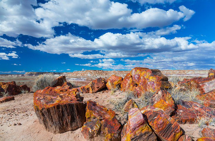 10 Best National Parks and Monuments in Arizona