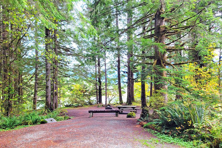 10 Best Places for Camping at Mt. Baker, WA