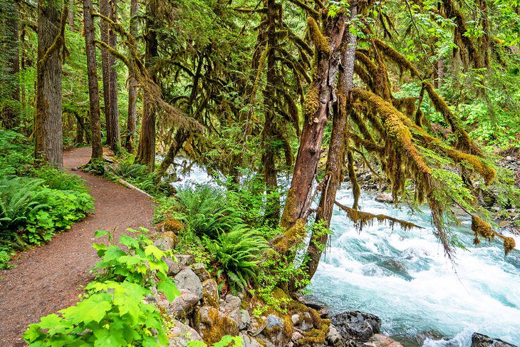 10 Best Places for Camping at Mt. Baker, WA