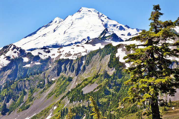 10 Best Places for Camping at Mt. Baker, WA