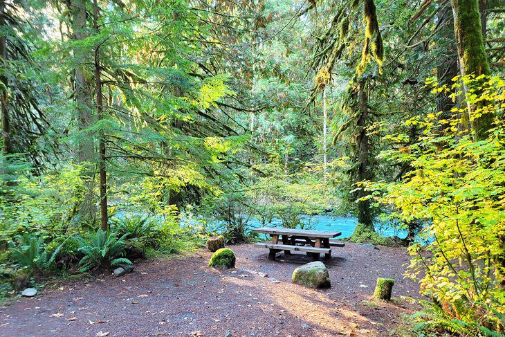 10 Best Places for Camping at Mt. Baker, WA