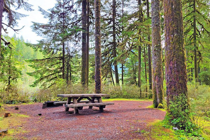 10 Best Places for Camping at Mt. Baker, WA