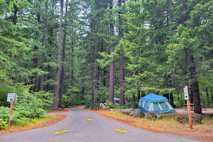 10 Best Places to Camp near Mount St. Helens, WA