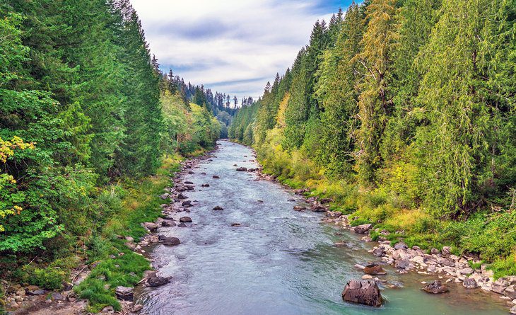 10 Best Places to Camp near Mount St. Helens, WA