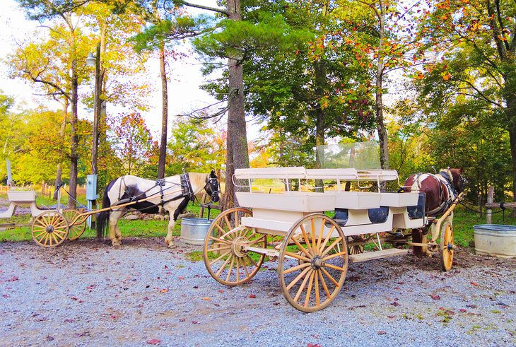 10 Best Romantic Getaways in Tennessee