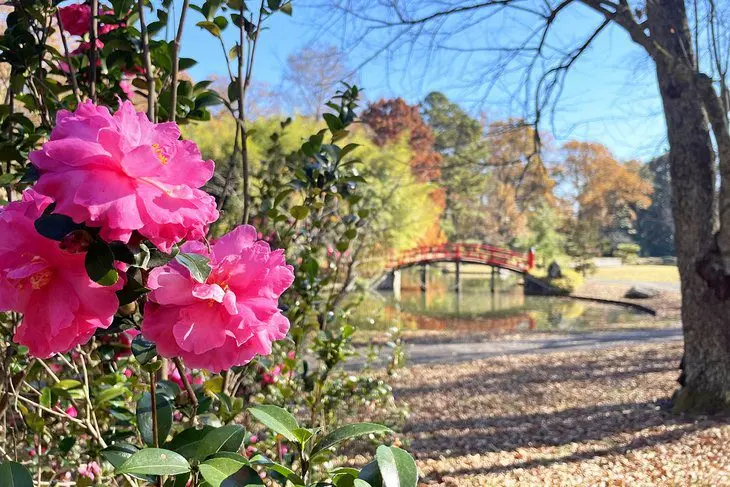 10 Best Romantic Getaways in Tennessee