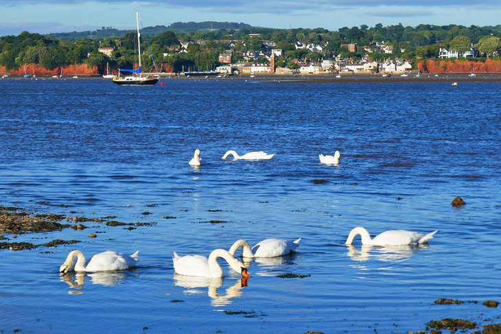 10 Best Things to Do in Exmouth, Devon