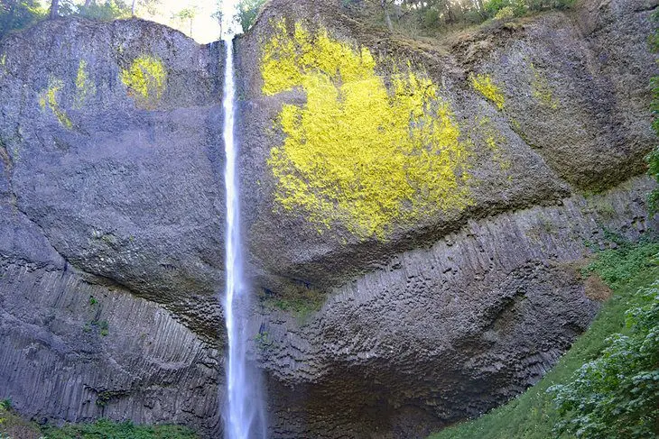 10 Best Waterfalls near Portland, OR