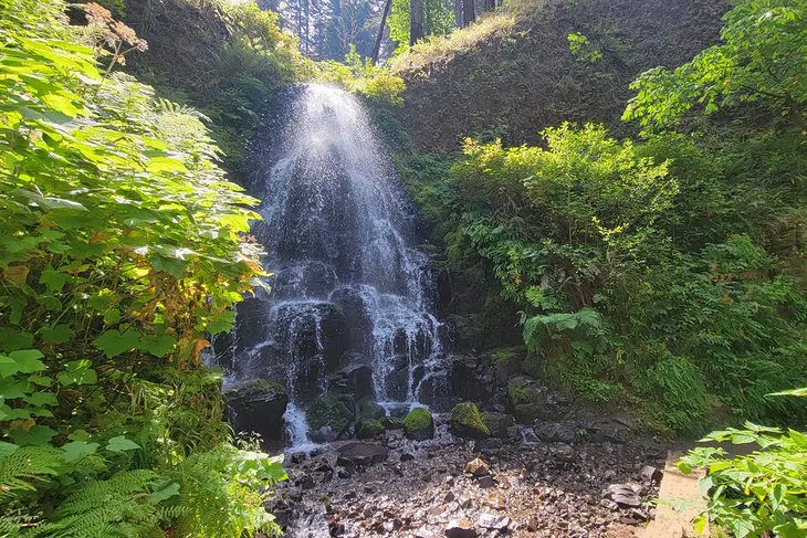 10 Best Waterfalls near Portland, OR