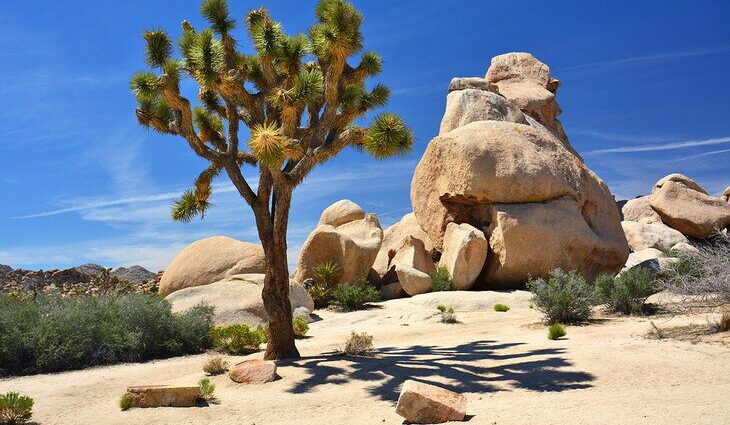 10 Top-Rated Attractions in the California Desert Region