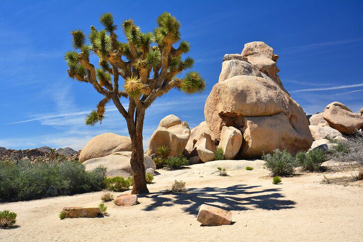 10 Top-Rated Attractions in the California Desert Region