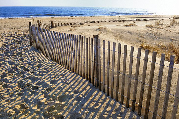 10 Top-Rated Beaches in Delaware