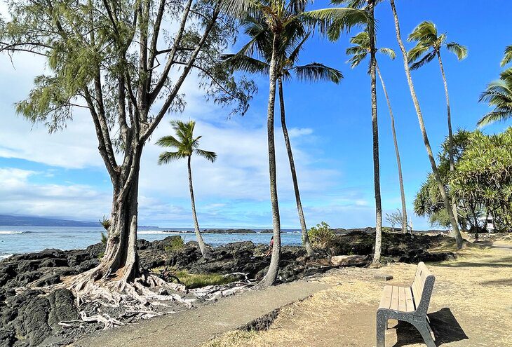 10 Top-Rated Beaches in Hilo