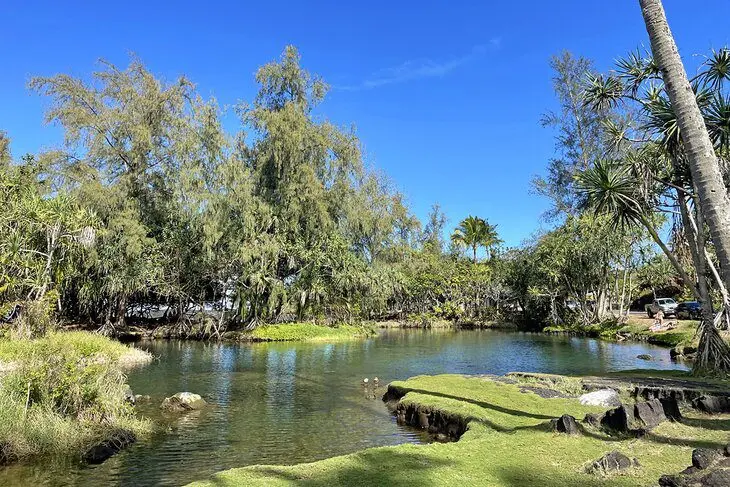 10 Top-Rated Beaches in Hilo