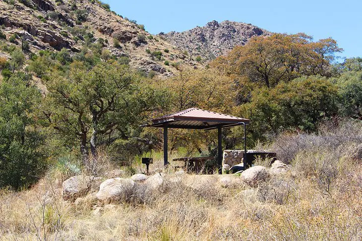 10 Top-Rated Campgrounds near Tucson