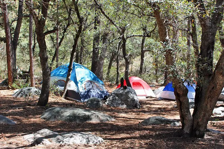 10 Top-Rated Campgrounds near Tucson