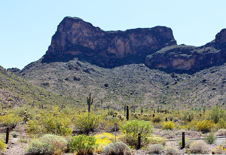 10 Top-Rated Campgrounds near Tucson