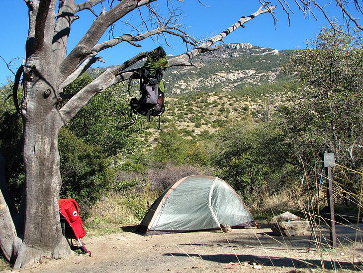 10 Top-Rated Campgrounds near Tucson