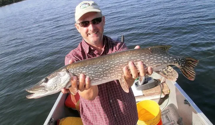 10 Top-Rated Fishing Lodges in Ontario