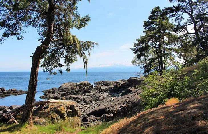 10 Top-Rated Hiking Trails near Victoria, BC