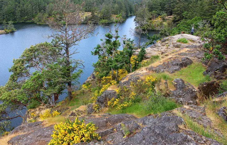 10 Top-Rated Hiking Trails near Victoria, BC